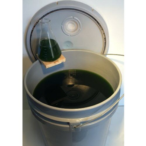 Grow Spirulina Shop Guides and Equipment for Spirulina Growers