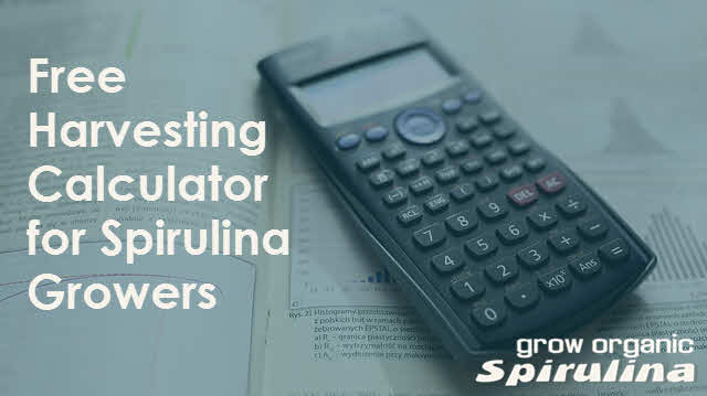 How Much Spirulina Can I Harvest Per Day – Free Harvesting Calculator Included!